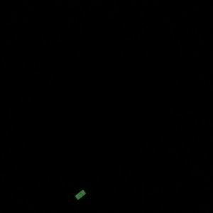 Meet your Posher, Annie